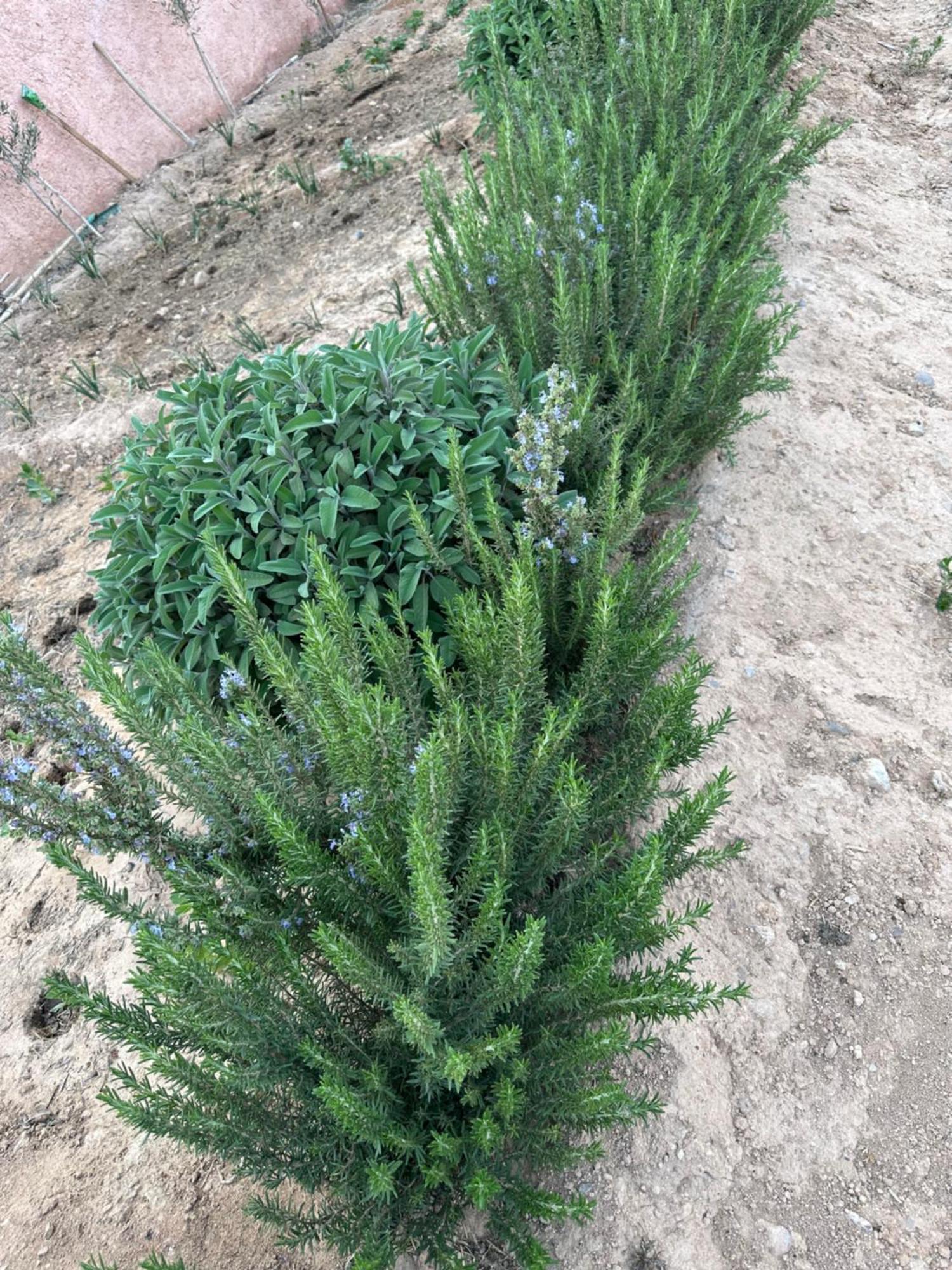 Ostello Dar Al Qanass Imane Midelt Esterno foto