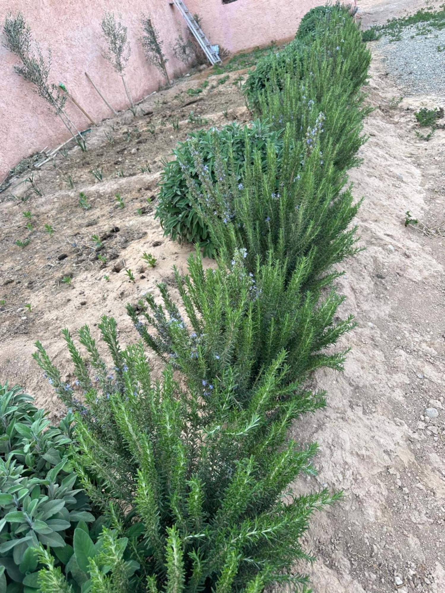 Ostello Dar Al Qanass Imane Midelt Esterno foto